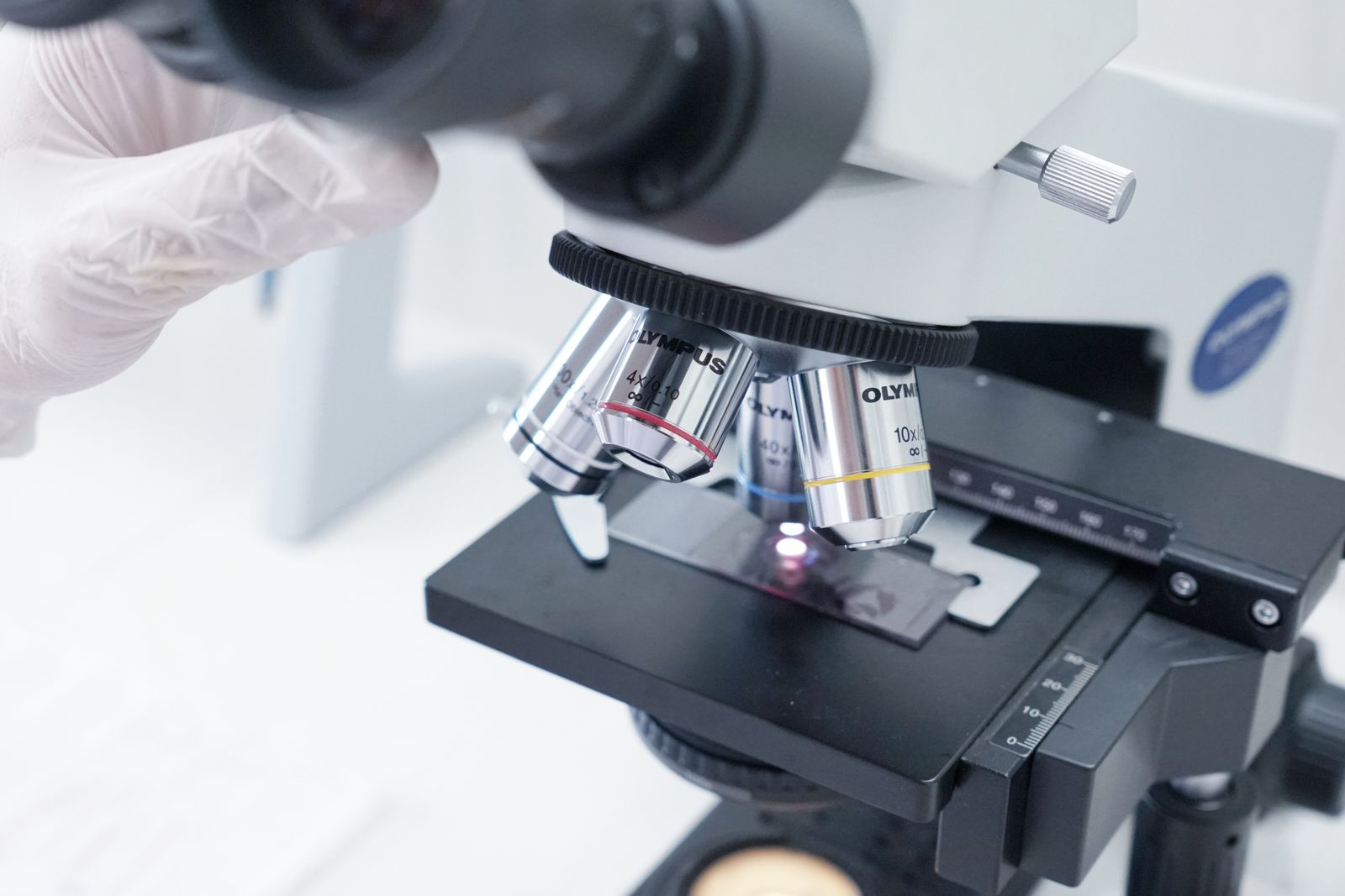 An image representing a laboratory and research setting